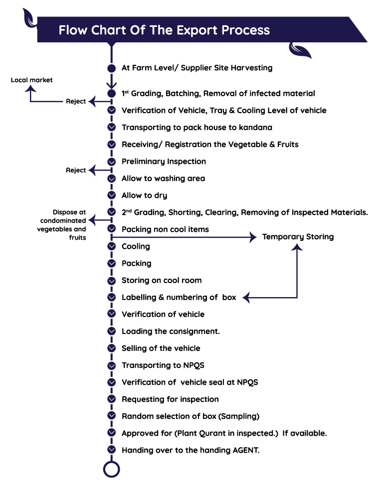 Export chart